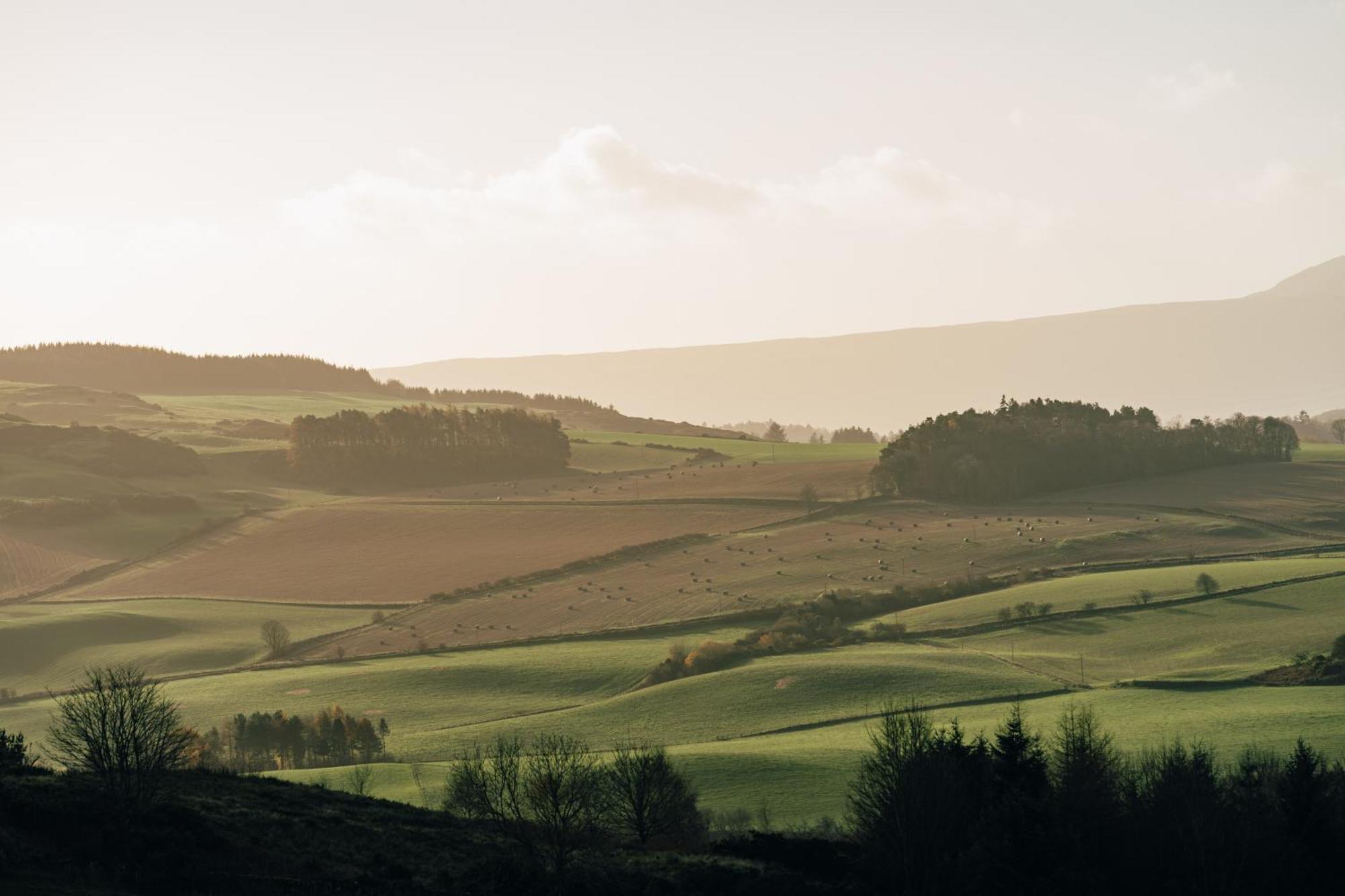 Luxury Couple'S Retreat With Hot Tub At Lindores Newburgh  エクステリア 写真